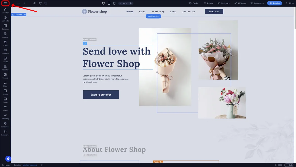 Sitejet Builder - editor settings